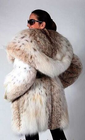 Beautiful woman in luxurious fur coat posing in studio. Luxury, rich lifestyle. Fashion shot.
